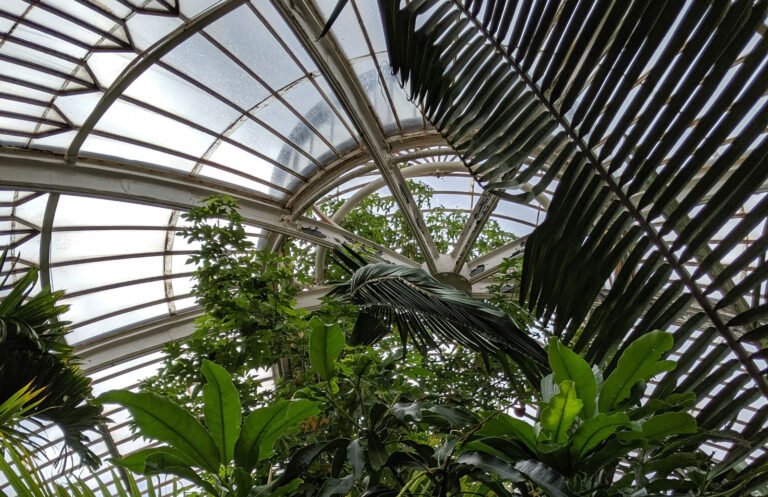 Scopri di più sull'articolo Royal Botanic Gardens – Kew Gardens
