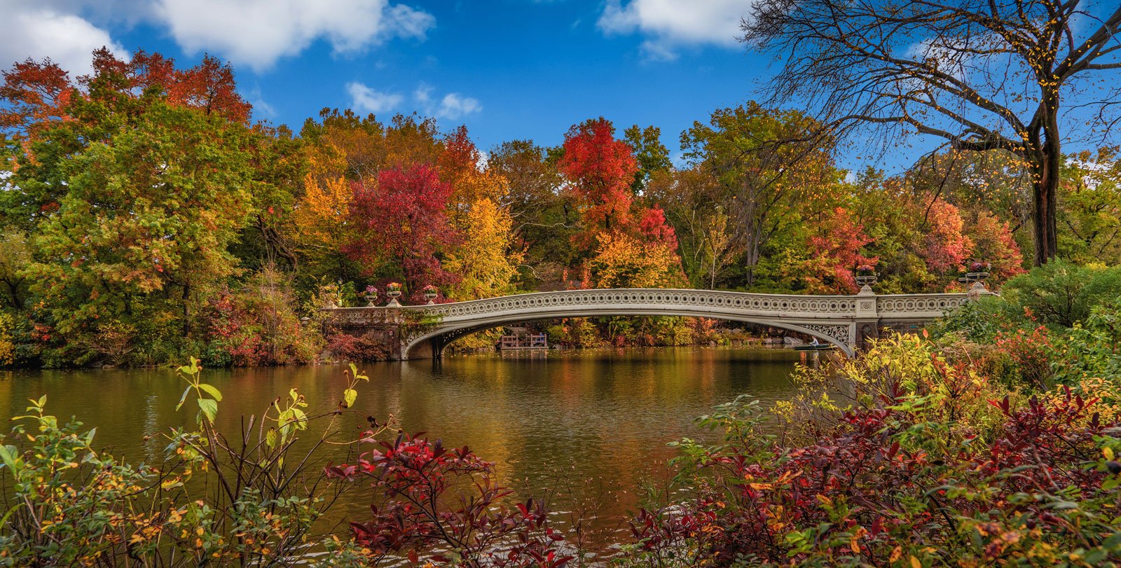 Central Park, New York